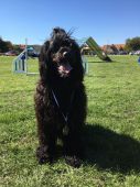 IMG-20181022-WA0040