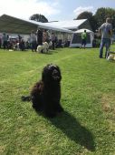 IMG-20181022-WA0008