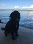 IMG-20181022-WA0019