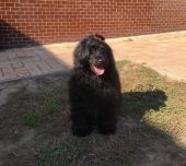 IMG-20181022-WA0023