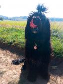 IMG-20181022-WA0034