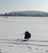 IMG-20190213-WA0024