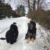 IMG-20190213-WA0025